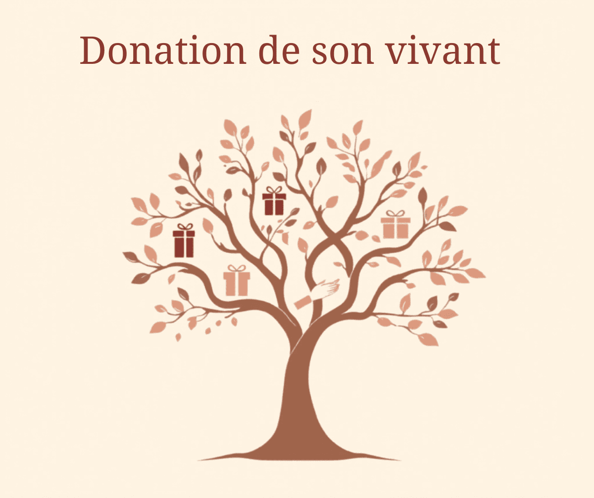 Donation de son vivant notaire : abattements fiscaux et démarches